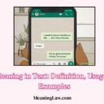 LMFAO Meaning in Text