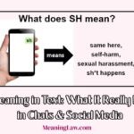SH Meaning in Text