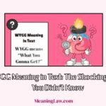 WYGG meaning in text