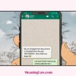 LBVS Meaning in Text
