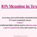 ION Mean in Text